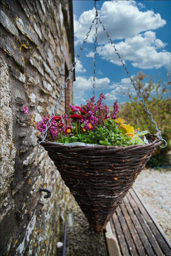 Polrunny Farm Seaberry Cottage With A Sea View And Log Burner Boscastle Esterno foto