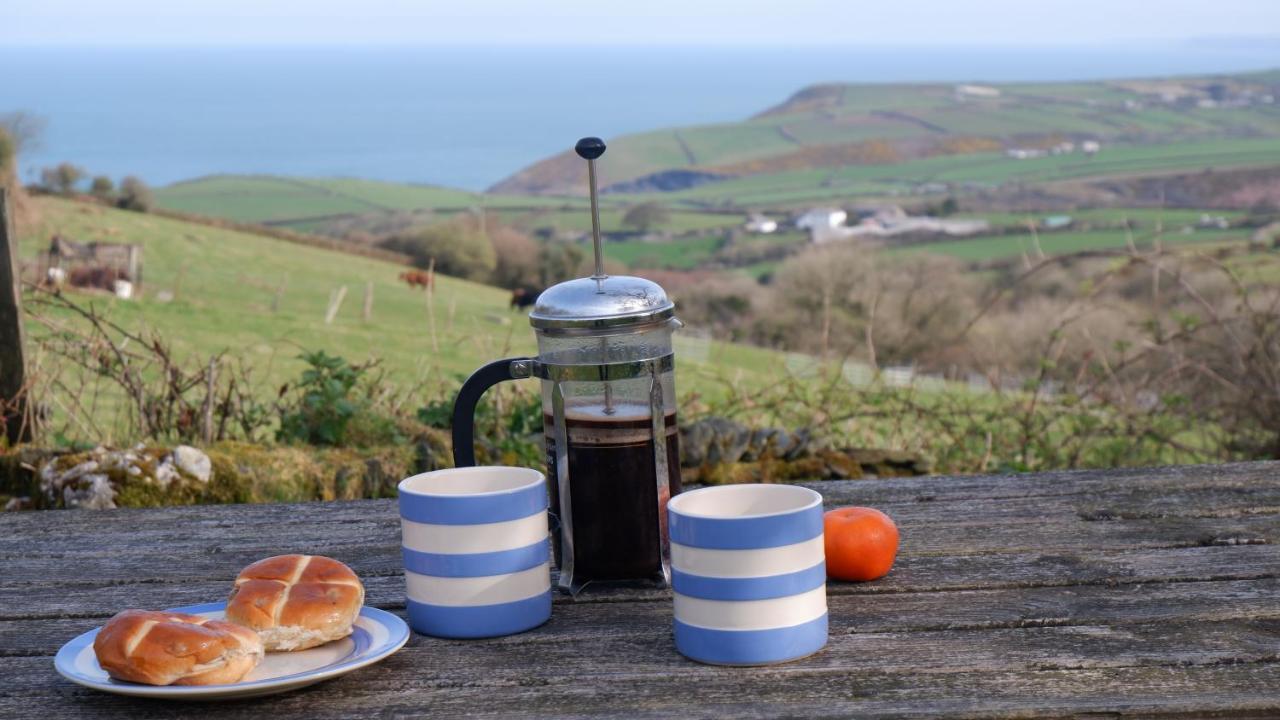 Polrunny Farm Seaberry Cottage With A Sea View And Log Burner Boscastle Esterno foto