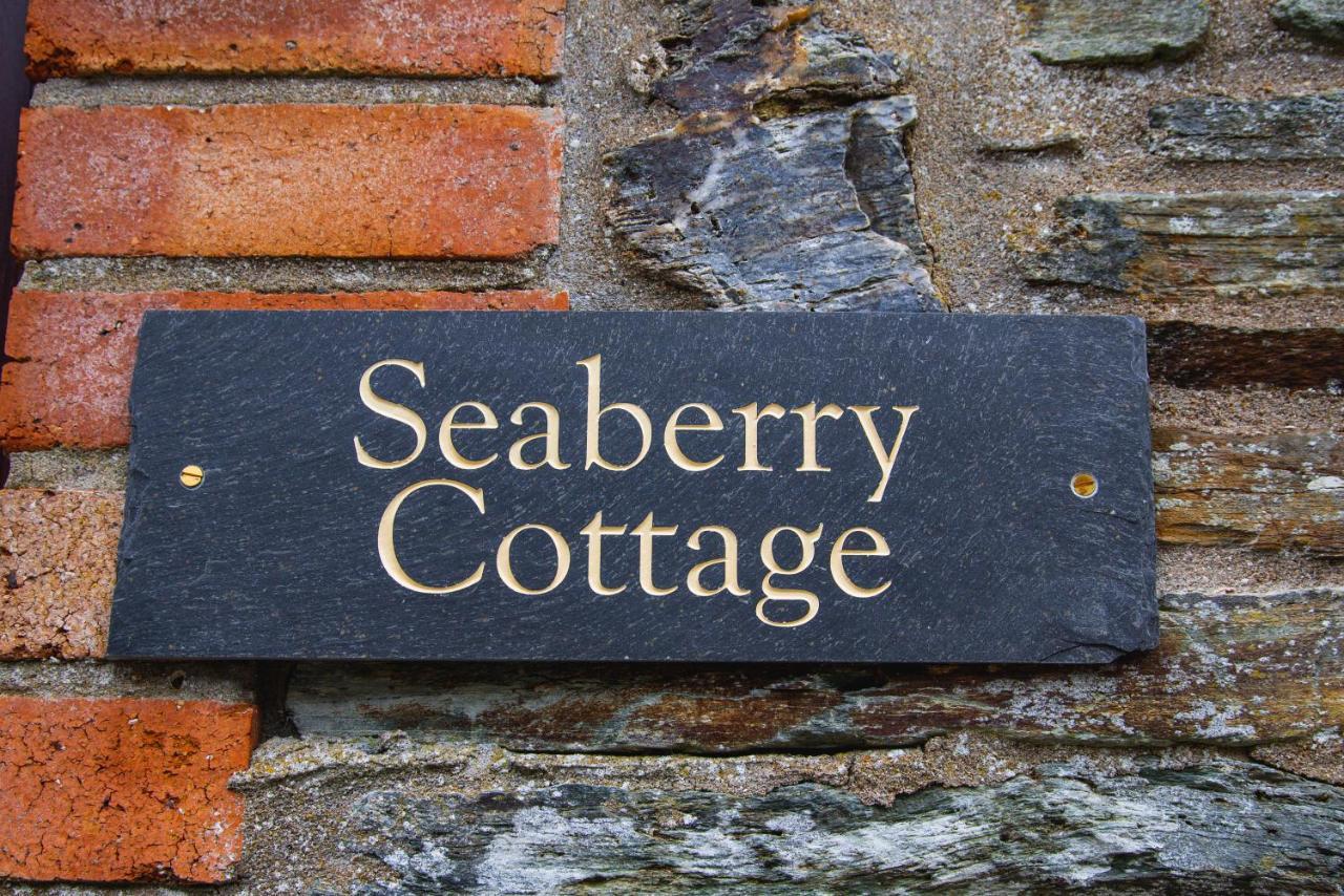 Polrunny Farm Seaberry Cottage With A Sea View And Log Burner Boscastle Esterno foto