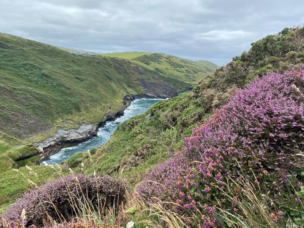Polrunny Farm Seaberry Cottage With A Sea View And Log Burner Boscastle Esterno foto