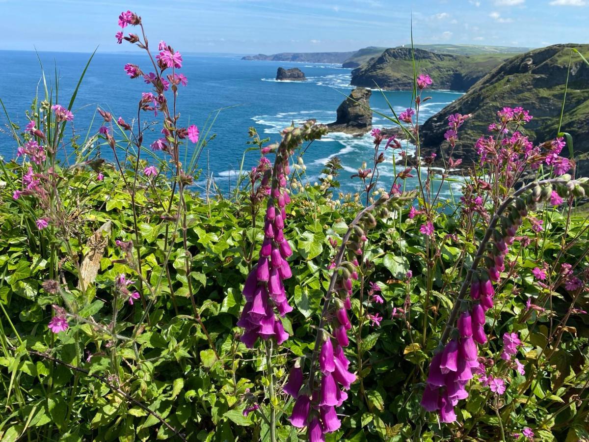 Polrunny Farm Seaberry Cottage With A Sea View And Log Burner Boscastle Esterno foto