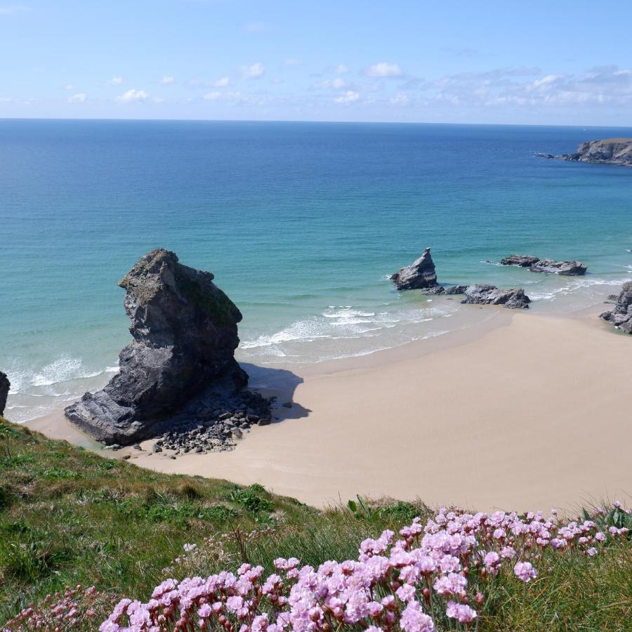 Polrunny Farm Seaberry Cottage With A Sea View And Log Burner Boscastle Esterno foto