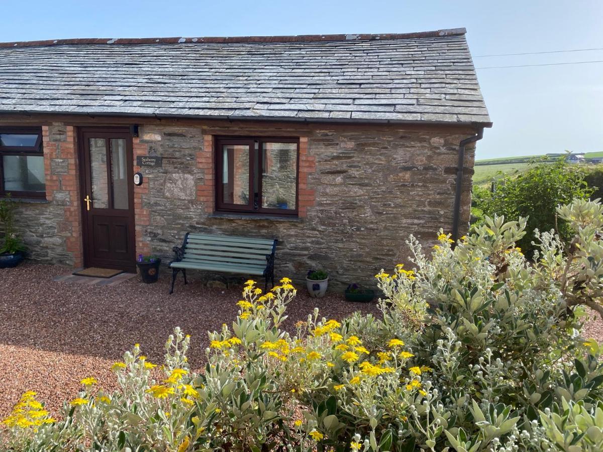 Polrunny Farm Seaberry Cottage With A Sea View And Log Burner Boscastle Esterno foto