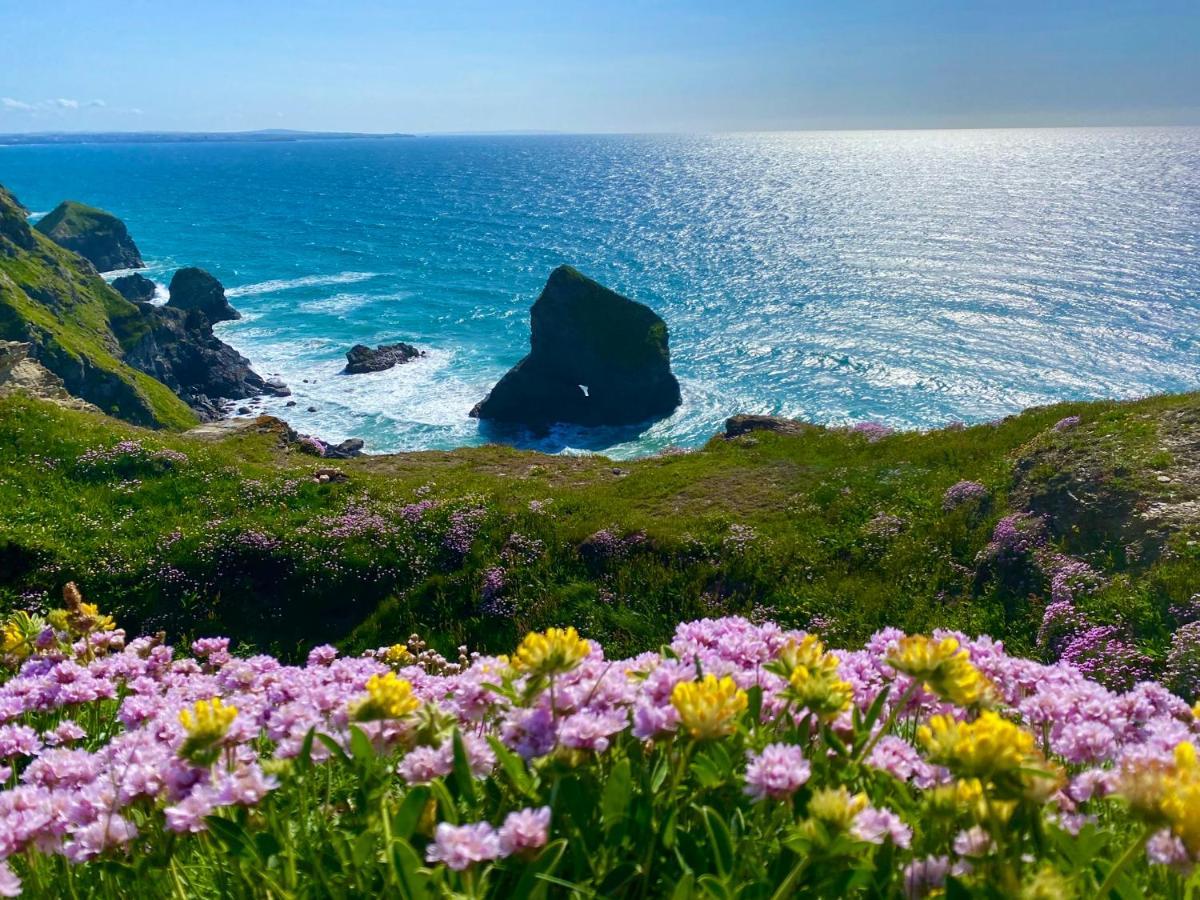 Polrunny Farm Seaberry Cottage With A Sea View And Log Burner Boscastle Esterno foto