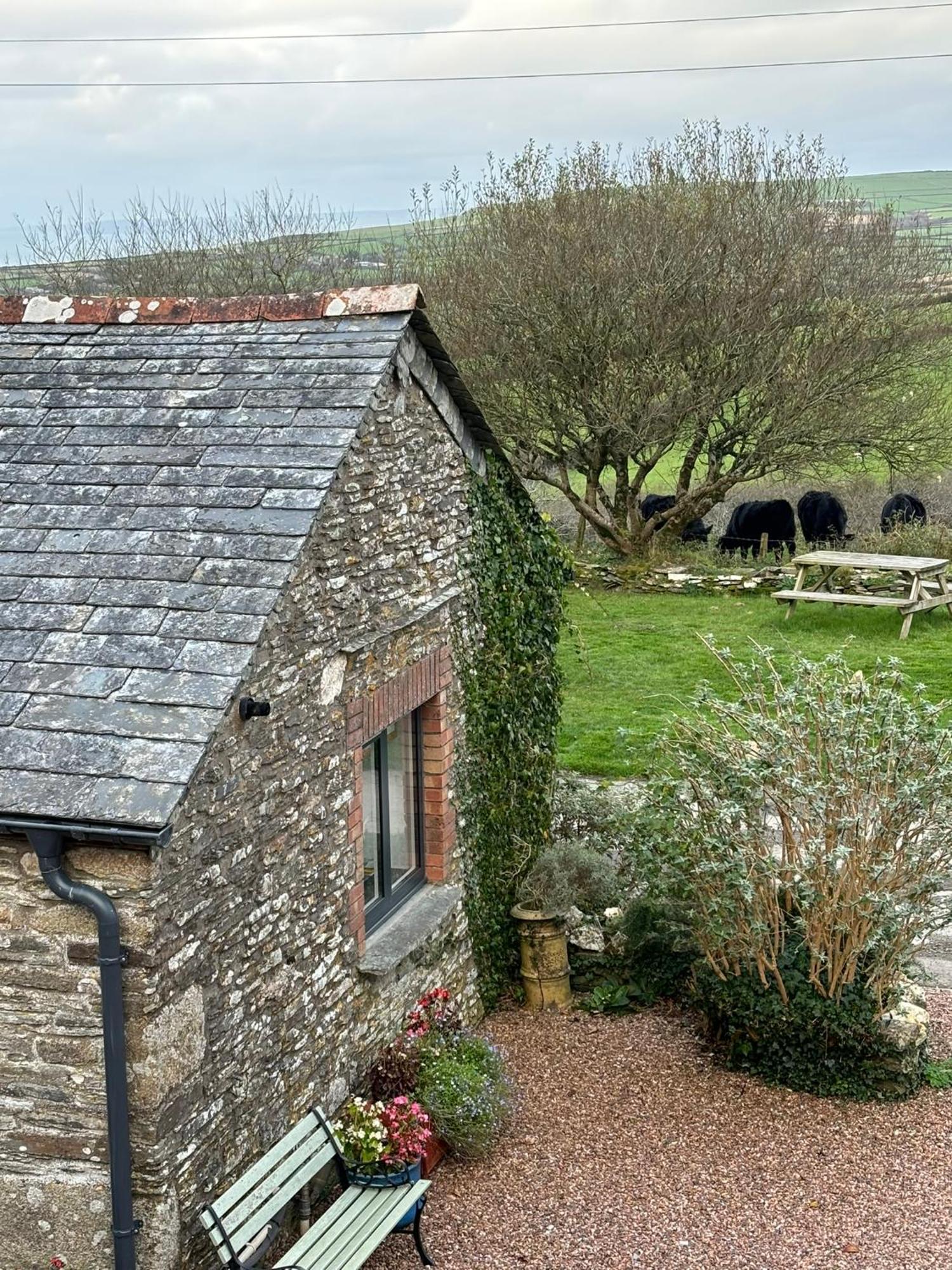 Polrunny Farm Seaberry Cottage With A Sea View And Log Burner Boscastle Esterno foto